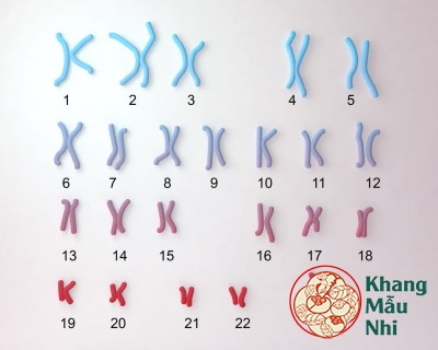 Tổng hợp 7 nguyên nhân gây sảy thai thường gặp nhất