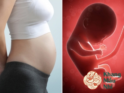 Bị ra máu khi mang thai tháng thứ 2 phải làm sao?