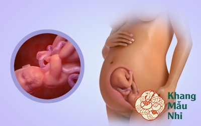 Bà bầu đi tiểu ra máu: Nguyên nhân và cách điều trị