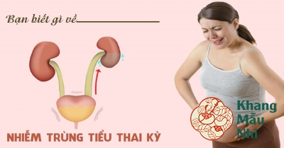 Từ A đến Z những điều mẹ bầu cần biết về nhiễm trùng đường tiểu khi mang thai