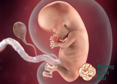 Mẹ bầu có thai 8 tuần bị ra máu có nguy hiểm không?