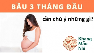 Những điều mẹ bầu nào cũng cần phải biết khi mang thai 3 tháng đầu
