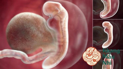 8 mốc khám và siêu âm thai quan trọng mẹ bầu cần tuân thủ