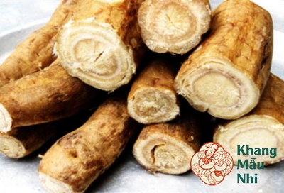 Củ gai tươi – Cứu tinh của chị em bị động thai, dọa sảy thai
