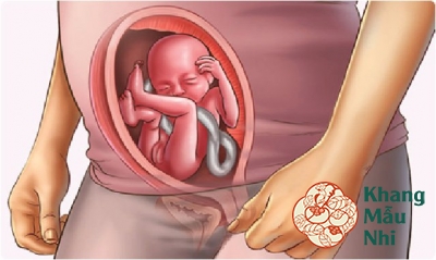 Đừng bỏ qua 8 lưu ý quan trọng khi mang thai tháng thứ 4