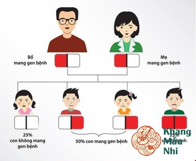 Vì sao cần tầm soát bệnh Thalassemia – tan máu bẩm sinh trước khi mang thai?