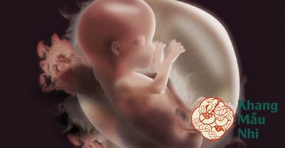 Đa ối khi mang thai: Tai biến nguy hiểm đe dọa tính mạng thai nhi