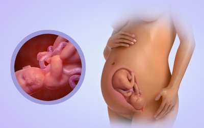 Giải đáp thắc mắc cho mẹ bầu: Bị động thai bao lâu thì khỏi?