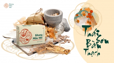 Thái sơn bàn thạch thang bài thuốc thánh dược an thai